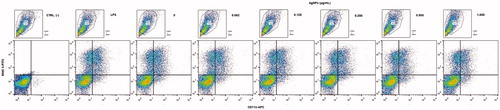 Figure 5. Representative dot-plots of differentiated BMDC among BMDC incubated 12 h with AgNP. (a) Characterization of BMDC populations by granularity (side-scatter SSC-H) and size (forward scatter FSC-H). (b) MHCII and CD11c expression among the cells (right top quadrant). Unstained (control) cells are shown for comparison.