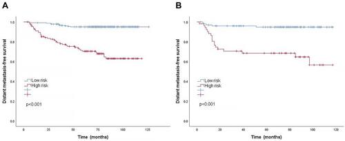 Figure 5 Kaplan–Meier curves of DMFS according to low-risk or high-risk groups stratified by the nomogram in the training cohort (A) and validation cohort (B).