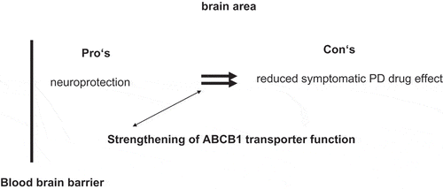 Figure 2. Pro’s and con’s of strengthened ABCB1 transporter modulation in Parkinson’s disease patients.