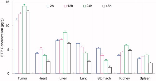 Figure 7. Tissue distribution results of ETP in ETP-CUR-NLCs. ETP: etoposide; CUR: curcumin; ETP-CUR-NLCs: NLCs-loaded with etoposide and curcumin.