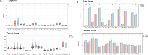 Figure 1 The proportion of activated M1 macrophages and the level of secreted cytokines in COPD were analyzed by using GEO data. (A) Violin plots showing different immune cells in lung and tracheal tissues of COPD patients and healthy controls. (B) Box plots showing different inflammatory cytokines in lung and airway tissues of COPD patients and healthy controls (*p < 0.05, **p < 0.01, ***p < 0.001 and ****p < 0.0001 compared with healthy controls).