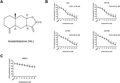 Figure 1. Isoalantolactone suppresses the viability of the human gallbladder carcinoma cells in vitro. (A) Chemical structure of isoalantolactone (IAL). (B) The anti-proliferative effects of IAL on NOZ, GBC-SD, EH-GB1 and SGC-996 cells were detected by CCK-8 assay (n = 3). (C) The anti-proliferative effects of IAL on HiBECs were detected by CCK-8 assay (n = 3). Cells were treated with different concentration of IAL for 24 h. Control group contained 0.1% DMSO. Data are mean ± S.D., *p< 0.05, **p< 0.01 and ***p< 0.001 compared to DMSO group.