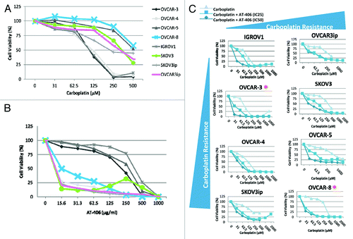 Figure 4. AT-406 sensitizes the in vitro responses of ovarian cancer cells to carboplatin. (A and B) Graphical representation of ovarian cancer cells treated with carboplatin and AT-406 as single agents, highlighting that the carboplatin resistant cell lines are concurrently sensitive to AT-406 treatment (blue, green, and pink curves). (C) The Cell viability curves of ovarian cancer cells treated with increasing doses of carboplatin in the presence or absence of the IC25 or IC50 of AT-406. *Denotes ovarian cancer cell lines in which AT-406 sensitizes the carboplatin induced cell death.