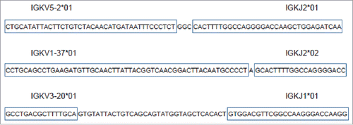 Figure 3. Example immunoglobulin recombinations with V-, J-, and N-region nucleotides indicated. The recombinations indicated are taken from the Moffitt BLCA reads, Table 6, bottom 3 barcodes, in order in this figure as they appear in Table 6.