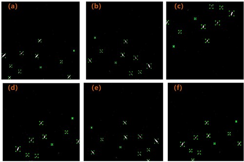 Figure 8. Ship dataset enhancement. (a) is the original image, and (b-f) are the images after mirroring and rotating at different angles.