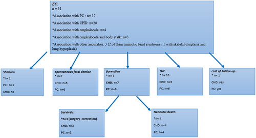 Figure 4. Flowchart demonstrating the EC case series: characteristics and perinatal outcomes. PC: pentalogy of Cantrell; EC: ectopia cordis; n: number of cases; CHD: congenital heart disease; TOP: termination of pregnancy.