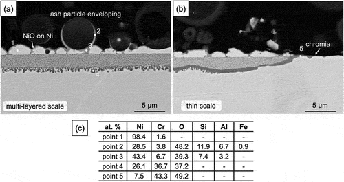 Figure 9. Cross-sectional BSE-SEM images of 10 wt.% sulphate salt +90 wt.% ash covered Ni-25Cr after 300 h reaction in Ar-60CO2-20 H2O at 650°C.