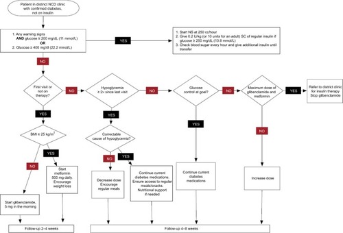 Figure 5 Diabetes management protocols.