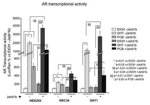 Figure 2. Enhancement of transcriptional activity of AR by Jarid1b in HEK293, GN11, and NSC34 cells. Cells cotransfected with pCMV-hAR, pcDNA 3.1-hJarid1b-myc-his (or the empty vector, as control), GRE2E1bLuc, and pgL4hRLuc were treated with DHT 10−7 M; the PCB mixture 10−7 M; or ethanol (EtOH). EtOH, ethanol; PCB, polychlorinated biphenils; DHT, dihydrotestosterone; AR, androgen receptor.
