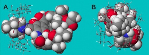 Figure 5 Side (A) and front (B) views of the most probable RAABCD confgurations obtained for the 1:1 complexes.Notes: Rifaldazine is represented as a CPK model, while β-cyclodextrin is represented as a ball-and-stick model. The rifaldazine and β-cyclodextrin molecules consisted of different atoms of hydrogen (white color), carbon (gray color), oxygen (red color), and nitrogen (blue color).Abbreviation: RAABCD, β-cyclodextrin molecular inclusion complexes of rifaldazine.