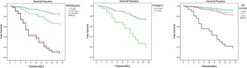 Figure 2 The multivariate survival function diagram of BMI, PA, and IPI score by the Cox risk regression analysis.