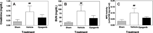 Figure 2 Opaganib improves renal function after moderate ischemia-reperfusion. Mice were treated with vehicle or opaganib (50 mg/kg) by oral gavage immediately prior to bilateral clamping of the kidney pedicles for 25 min. No surgery was performed in the Sham treatment group. Blood was drawn 24 h after reperfusion and assayed for serum creatinine (A) and BUN (B) levels. Additionally, kidney lysates were assayed for myeloperoxidase activity (C). Bars show the mean ± SD values for Sham-IR (n=5), vehicle-treated (n=5) and opaganib-treated (n=4) groups. ##Indicates p < 0.01 compared with the Sham treatment group.