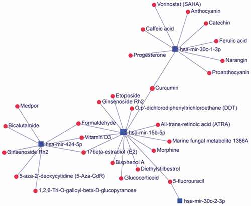 Figure 8. The network between the top five-deceased miRNAs which interacted with circRNAome of EBV and small compounds. The network was generated using miRNet database. Some compounds as medicines were usually used to treat cancers in clinic including tumors associated with EBV infection.