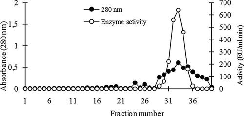 Figure 1 Elution profile of chard peroxidase on CM-sephadex C 50 ion exchange chromatography.