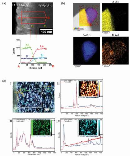 Figure 7. The development of positive electrode for CLBs. (a) Cross-sectional TEM image of an LLZ/PLD deposited LCO thin film interface (top) and the EDS line profile (bottom)[Citation97]. Reproduced with permission[Citation97]. Copyright 2011, Elsevier. (b) TEM images of crystalline LCO/LLZO that was directly obtained from LCOon a LLZO pellet and the corresponding EDS elemental mappings to show Al3+ diffused into LCO after heat treated at 700°C[Citation96]. Reproduced with permission[Citation96]. Copyright 2013, American Chemical Society. (c) High-resolution micro-Raman mapping of a CLB cross-section which was sintered at 1050°C in air. (I) Optical image of the SSLB cross-section and its mapping area. The Raman mappings and the spectra for (II) LCO, (III) LLZ:Ta and (IV) epoxy[Citation99]. Reproduced with permission[Citation99]. Copyright 2019, Royal Society of Chemistry.