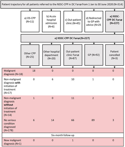 Figure 2. Detailed description of patient trajectory and diagnostic outcomes for patients with diagnostic work-up within The Cancer Patient Pathway for Non-specific Symptoms and Signs of Cancer(NSSC-CPP) in diagnostic centre, Farsø (DC Farsø) (N = 227).