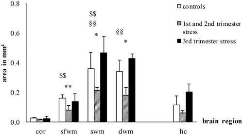 Figure 5. Effects of chronic maternal stress on myelination in fetal sheep brain at 0.87 gestation. Anti-MBP-immunohistochemistry of the cerebral cortex (cor), superficial white matter (sfwm), subcortical white matter (swm), deep white matter (dwm), and the CA3 region of the hippocampus (hc). *p<.05, **p<.01 compared to controls; $$p<.01 compared to the next more superficial brain region; §§p<.01 compared to the hippocampus. Controls: n = 8, 1st/2nd trimester stress: n = 10, 3rd trimester stress: n = 10.