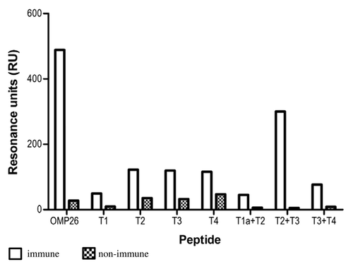 Figure 6. Antibody reactivities to the OMP26 peptides of sera from chinchillas immunized with OMP26 protein. Pooled immune and non-immune sera were tested against all OMP26 peptides immobilized on the biosensor chips and assayed by SPR. Antibody reactivities are expressed as Resonance Units (RU).