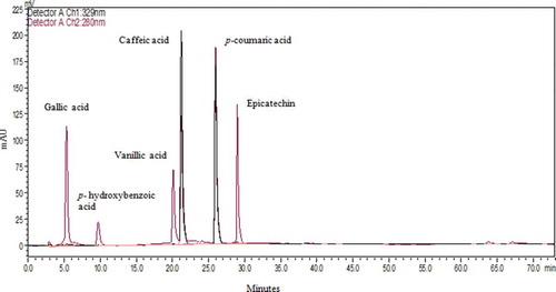 Figure 4. Obtained HPLC Chromatogram of mixture of standard phenolic acids at 280 nm and 329 nm.