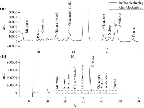 Figure 3. HPLC chromatographs of monosaccharides in JSXZ before and after blackening (a) enlarged and (b) original.