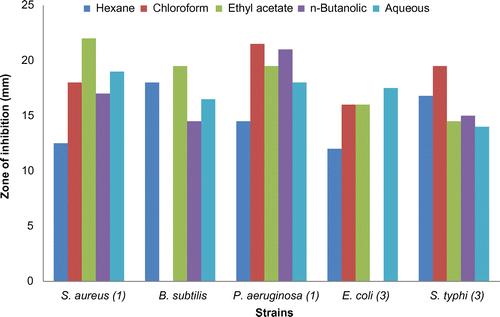 Figure 3. Comparison of antibacterial activities of ethanolic extract of roots of Verbena officinalis and its fractions against different strains at the sample concentration of 40 mg/mL (n = 3).