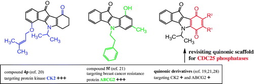Figure 1. Exploration of the indeno[1,2-b]indoloquinone for the development of new CDC25 phosphatases.