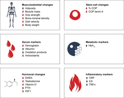 Figure 1 Current and upcoming biomarkers for frailty.