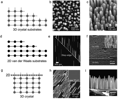 Figure 2. Epitaxial growth of semiconductors on 3D and 2D materials. (a) Schematic illustration of a conventional substrate showing unsaturated bonds and atomic cliffs. (b) Plan-view and (c) tilted view SEM images of ZnO nanorods grown on c-Al2O3. Reprinted from [Park et al., Appl. Phys. Lett. 80, 22 (2002)] with the permission of AIP Publishing. (d) Schematic illustration of multiple stacks of 2D sheets in pristine condition. SEM images of ZnO nanorods grown on (e) pristine graphene layers and (f) CVD h-BN. The inset represents a high-magnification image of ZnO nanorods. Reprinted from [Kim et al., Appl. Phys. Lett. 95, 213101 (2009)] with the permission of AIP Publishing and from [J. Appl. Phys. 130, 223105 (2021)] with the permission of AIP Publishing. (g) Schematic of semiconductor epitaxy on 2D with underlying 3D epitaxial substrates. (h) Top view and (i) cross-sectional view SEM images of ZnO microrods grown on graphene-coated a-ZnO and c-ZnO substrates, respectively. The inset in (h) shows the graphene-coated a-ZnO substrate before the ZnO microrod growth. Reprinted from [Jeong et al., Nanoscale 10, 22970 (2018)] with the permission of RSC Publishing.