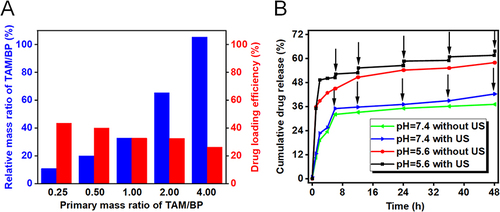 Figure 2 In vitro drug release behavior. (A) Drug loading capacity and loading efficiency evaluation and (B) TAM release after treatment with ultrasound (1.5 W/cm2, 3 min).