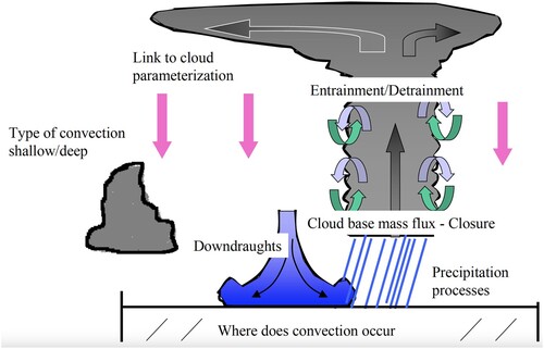 Fig. 12 Schematic of the IFS mass flux convection scheme.