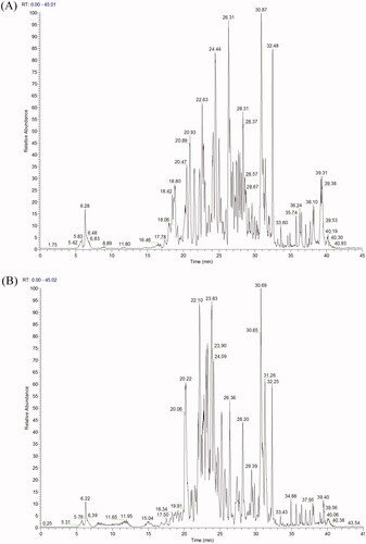 Figure 7. (A) LC − ESI − DDA − HRMS base peak chromatogram of EAELN in negative ion mode. (B) LC − ESI − DDA − HRMS base peak chromatogram of EAELT in negative ion mode.