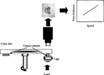 FIG. 2 EHL test device and cage position.