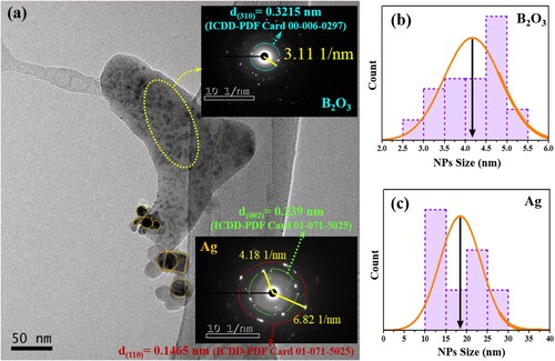 Figure 2. (a) TEM image of ZBPHA0.8 (Series I) sample. The upper and lower insets are the respective SAED patterns of the small and big dark spots. (b) and (c) represent the corresponding crystallite size distribution of the small and big dark spots.