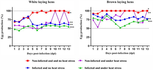 Figure 1. Effects of heat stress on daily egg production of commercial laying hens challenged by S. Gallinarum. Different symbols represent significant differences (P < 0.05) using Dunnet’s test.