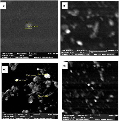 Figure 5. SEM Images of (a) neat MDAP/BTDA–PI (b) MDAP/BTDA–PI/POSS (1 wt%) (c) MDAP/BTDA–PI/POSS (3 wt%) (d) MDAP/BTDA–PI/POSS (5 wt%).