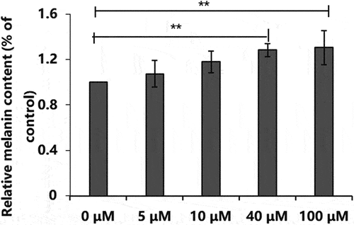 Figure 8. Effect of different concentrations of prostaglandin E2 on relative melanin content. *P < 0.05, **P < 0.01.