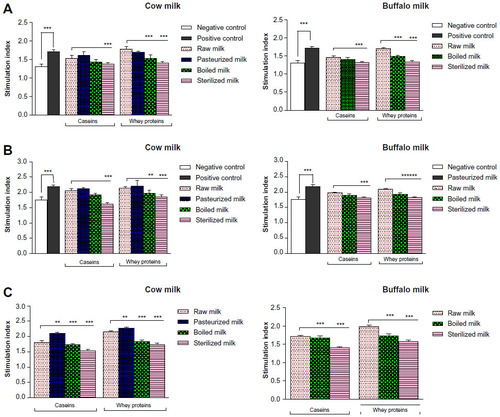 Figure 3 Stimulation indices of splenocytes collected from mice sensitized with caseins or whey proteins of differently processed cow or buffalo milk.