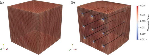 Fig. 13. Volumetric expansion of a concrete block with (a) no reinforcement (Specimen A1-000b) and (b) with uniaxial reinforcement (Specimen A1-001a). The deformation is magnified 50× to highlight the confining effect of the bars