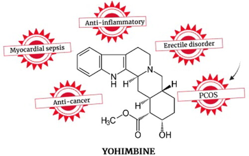 Figure 4. The potential of yohimbine against various human disorders.
