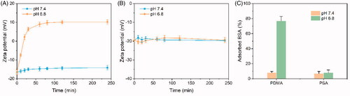 Figure 2. Charge-switchable PCDMA micelles. Surface zeta potential changes of PCDMA (A) and PCSA (B) at pH 7.4 or 6.8 at different incubation times. (C) The amount of BSA adsorbed on the PCDMA and PCSA micelles after incubation at pH 7.4 or 6.8 (n= 6, ***p< .001).