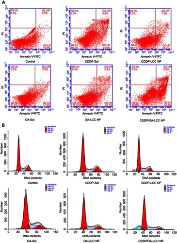 Figure 5 CDDP/OA-LCC NPs induce apoptosis in HepG2 cells. (A) Annexin V-FITC/PI double staining apoptosis assay results; (B) cell cycle analysis of HepG2 cancer cells.Abbreviations: CDDP, cisplatin; OA, oleanolic acid; LCC, lipid coated calcium carbonate; NP, nanoparticles, UR, upper right; UL, upper left; LL, lower left; LR, lower right; Q2, quadrant.