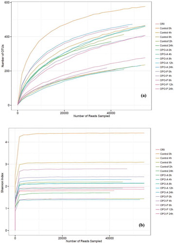 Figure 5. Rarefaction index curves (a) and Shannon index curves (b) of all studied samples.Figura 5. Curvas de índice de rarefacción (a) y curvas de índice de Shannon (b) de todas las muestras estudiadas.