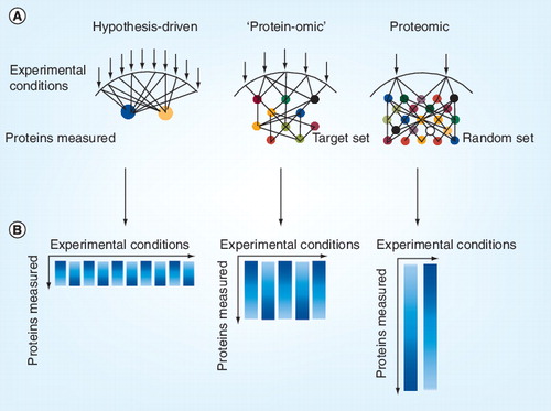 Figure 1. Experimental setup for hypothesis-driven, ‘protein-omic’ and proteomic approaches.(A) Each arrow indicates an experimental condition, which may represent the stimulation or inhibition of components of a biological system. Circles represent a protein modification measured. (B) Resulting data matrix from the experimental set up. Each column represents an experimental condition and the length of the column indicates the depth of measured protein data space.