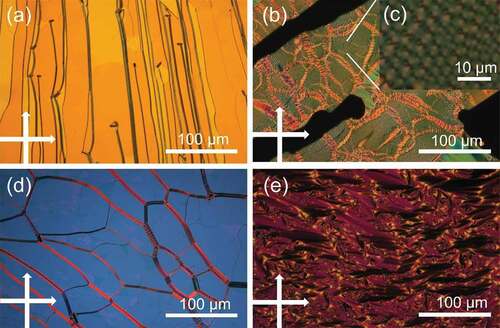 Figure 1. POM view of the photo-CLC sample without (a) and with (b,c) AuNRs. POM micrograph of a CLC sample without (d) and with (e) AuNRs.