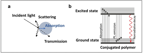 Figure 1. (a) Optical phenomena on surface of any material under light irradiation. (b) Photothermal generation by pristine CP.