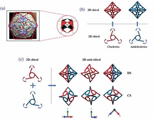Figure 2. (a) Design prototype of 3D chiral structure (b) Assembly of 2D chiral units to the 3D chiral structure inspired by the icosahedral cricket paralysis virus (c) Assembly of 2D chiral units to 3D anti-chiral structure, including DS and CS.