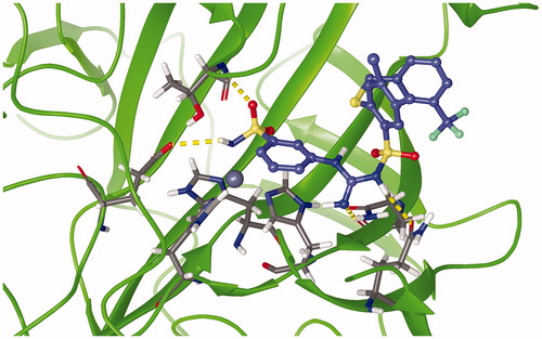 Figure 9. Representative snapshot of the structure of carbonic anhydrase IX (5FL4) in complex with C101 after 500 ns of MD simulation. Protein: green ribbon, zinc: silver sphere, C101: blue carbons, and 3 histidine residues: grey carbons. Magenta dashed lines represent the Zn-N covalent coordination bonds. Yellow dashed bonds represent hydrogen bonds.