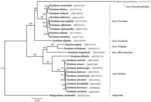 Figure 1. Maximal likelihood tree of Gentiana based on protein-coding genes in plastome. Numbers above the branches present bootstrap supports. The species name in gray indicates the newly sequenced in this study.