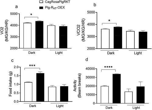 Figure 4. Plg-RKT overexpression increases metabolism, food intake and activity. (a) O2 intake, (b) CO2 output, (c) food intake and (d) activity measured in the CLAMS of HFD-fed Plg-OEX and CagRosaPlgRKT mice. N = 5±SEM. *P < 0.05, **P < 0.001, ***P < 0 0001.