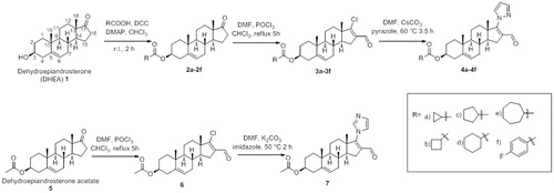 Figure 2. Synthesis of dehydroepiandrosterone (1) derivatives.